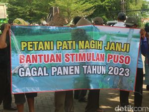 Petani di Pati Gelar Aksi, Minta Dana Bantuan Puso 2023 dari Jokowi Dicairkan