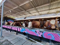 Penjual Sapi Gunungkidul Ini Jadi Jujukan Raffi Ahmad hingga Ivan Gunawan