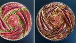 Cantik! 10 Pie Ini Ditata Artistik Mirip Karya Seni