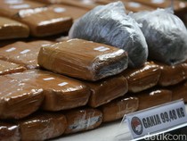 Pria Asal Jayapura Ditangkap Saat Jemput 5,4 Kg Ganja di Pelabuhan Sorong
