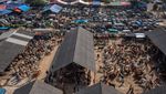 Foto Udara Pasar Hewan Pon Ambarawa Ramai Jelang Idul Adha
