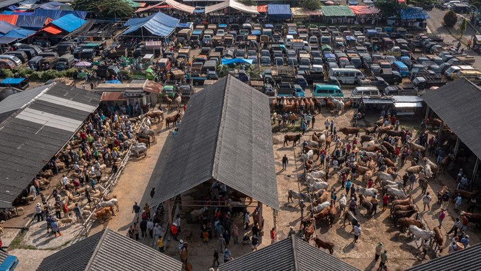 Proyeksi potensi ekonomi hewan kurban Indonesia 2024 Seorang peternak melakukan transaksi jual beli kambing dengan pembali di pasar penanggalan Jawa (Pasaran Pon), Pasar Hewan Pon Ambarawa, Kabupaten Semarang, Jawa Tengah, Senin (10/6/2024). Lembaga Riset Institute for Demographic and Poverty Studies (IDEAS) memproyeksikan potensi ekonomi kurban Indonesia pada Idul Adha 1445 Hijriah mencapai sekitar Rp28,2 triliun dari 2,16 juta orang yang melaksanakan kurban (shahibul qurban) atau naik dari tahun 2023 lalu mencapai sekitar Rp24,5 triliun dari 2,08 juta orang yang melaksanakan kurban. ANTARA FOTO/Aji Styawan/rwa.