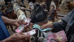 Foto Udara Pasar Hewan Pon Ambarawa Ramai Jelang Idul Adha