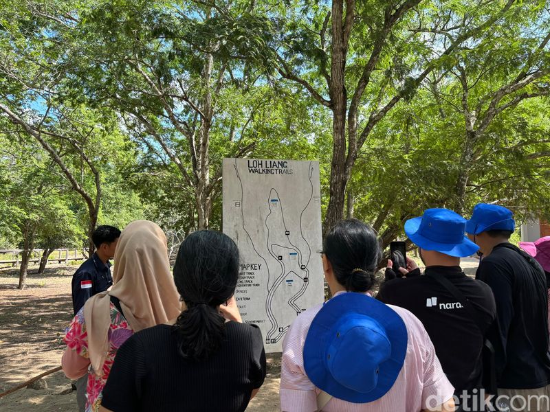 Pulau Komodo di Taman Nasional Komodo, NTT