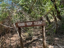 Polemik Penutupan TN Komodo: Warga Menolak-Pariwisata Labuan Bajo Bisa Lumpuh