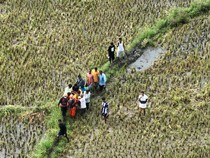 Hilang 2 Hari Terseret Arus, Pria Sikka Ditemukan Tewas