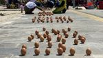 Lomba Mendirikan Telur Ayam di Siang Bolong