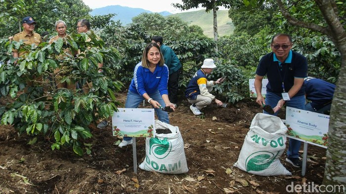 PT Bank Central Asia Tbk (BCA) melalui payung Bakti BCA melakukan revitalisasi Kebun Kopi Cikoneng di Desa Tugu Utara, Bogor, sebagai wujud komitmen perseroan memberikan dampak positif kepada masyarakat. Melalui program ini, BCA bekerja sama dengan Yayasan Kopi Nasional (YKN) dan Dinas Tanaman Pangan Hortikultura & Perkebunan (Distanhorbun) Kabupaten Bogor memberikan pembinaan, penyuluhan, serta bantuan sarana-prasarana kepada Kelompok Tani Cikoneng Lestari dan Kelompok Tani Lestari Maju Bersama.