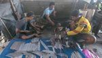 Ada Cuan di Balik Pisau Potong Hewan Kurban