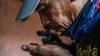 Kesempatan emas ini turut dimanfaatkan Ayi Sutedja, pria 57 tahun yang berhasil membawa aroma Kopi Puntang mendunia. Ia memulai langkahnya dengan menitipkan biji Kopi Puntang jenis arabika untuk dibawa Kementerian Perdagangan dalam ajang Specialty Coffee Association of America (SCAA) Expo 2016.