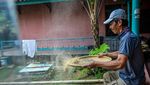 Aroma Kopi Puntang yang Mendunia