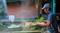 Ayi mengatakan, di lereng Gunung Puntang, Kabupaten Bandung, pohon kopi pada awalnya hanya dimanfaatkan warga sebagai pembatas kebun sayuran. Tidak ada perkebunan khusus kopi, apalagi petani khusus yang mengelola komoditas ini. Baru beberapa tahun terakhir Kopi Puntang mulai naik kasta menjadi kopi organik yang memiliki skor tertinggi di beberapa ajang penilaian kopi.