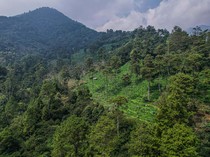 2 Pemuda Jatuh ke Jurang Gunung Puntang, Beruntung Berhasil Diselamatkan