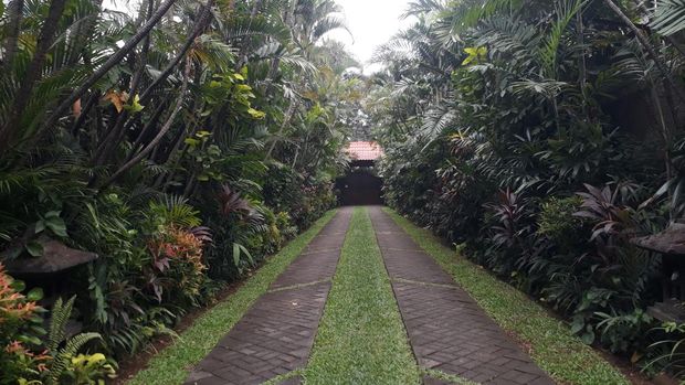 Jalan menuju Museum di Tengah Kebun.