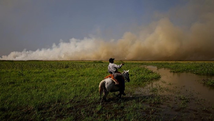 Kebakaran Lahan Basah Tropis Terbesar di Dunia Makin Meluas A drone view shows smoke rising from a fire in the Pantanal, the world's largest wetland, in Corumba, Mato Grosso do Sul state, Brazil, June 10, 2024. REUTERS/Ueslei Marcelino TPX IMAGES OF THE DAY
