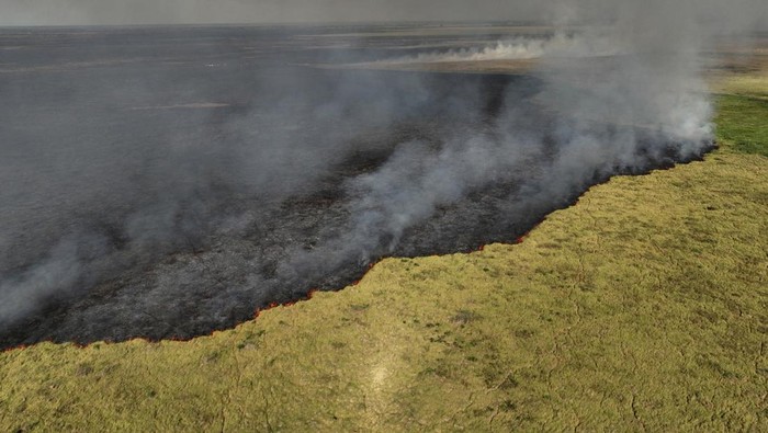 Kebakaran Lahan Basah Tropis Terbesar di Dunia Makin Meluas A drone view shows smoke rising from a fire in the Pantanal, the world's largest wetland, in Corumba, Mato Grosso do Sul state, Brazil, June 10, 2024. REUTERS/Ueslei Marcelino TPX IMAGES OF THE DAY