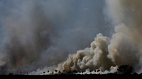 Asap juga membubung ke angkasa dari lahan basah yang terbakar.  