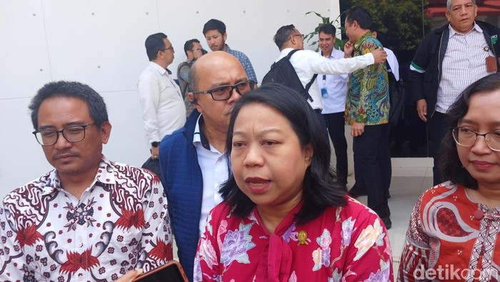 Komisioner KPPU Eugenia Mardanugraha usai menggelar FGD di gedung BP Batam, Selasa (11/6/2024). (Alamudin Hamapu/detikSumut)