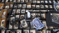 Tampak sejumlah ular mati terbakar.  
