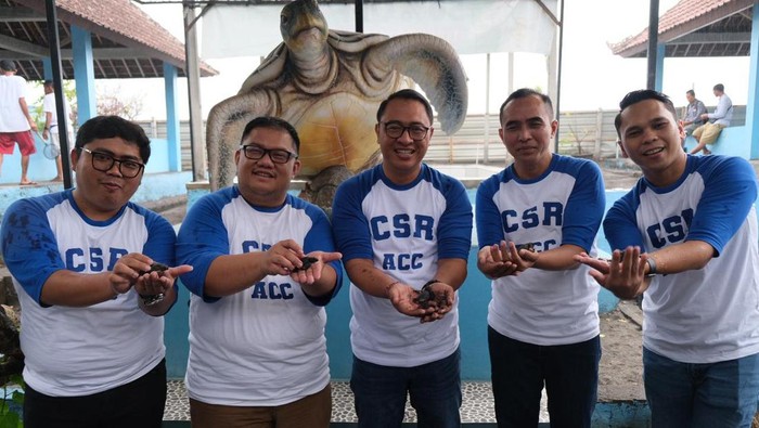 Pembinaan dan Edukasi Dukung Konservasi Penyu di Bali ACC mendukung Konservasi Penyu Saba Asri di Gianyar, Bali dengan memberikan dukungan pembinaan dan sarana edukasi. Upaya ini secara simbolis dilakukan oleh Branch Manager ACC Denpasar Ari Wiadnyana dan seluruh pejabat ACC Denpasar dan Renon dengan melepas tukik di Pantai Saba Asri pada tanggal 7 Juni 2024.