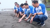 Upaya ini secara simbolis dilakukan oleh Branch Manager ACC Denpasar Ari Wiadnyana dan seluruh pejabat ACC Denpasar dan Renon dengan melepas tukik di Pantai Saba Asri. ACC mendukung kegiatan konservasi dengan memberikan bantuan pakan untuk tukik serta memberikan bantuan sarana edukasi. Konservasi Penyu Saba Asri aktif memberikan edukasi kepada masyarakat untuk ikut mendukung kegiatan konservasi penyu. Konservasi Penyu Saba Asri melakukan penangkaran penyu jenis Penyu Lekang. Penyu Lekang ini termasuk dalam daftar spesies yang hampir punah. 