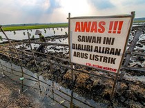Petani Bojonegoro Kendalikan Hama Tikus Pakai Listrik