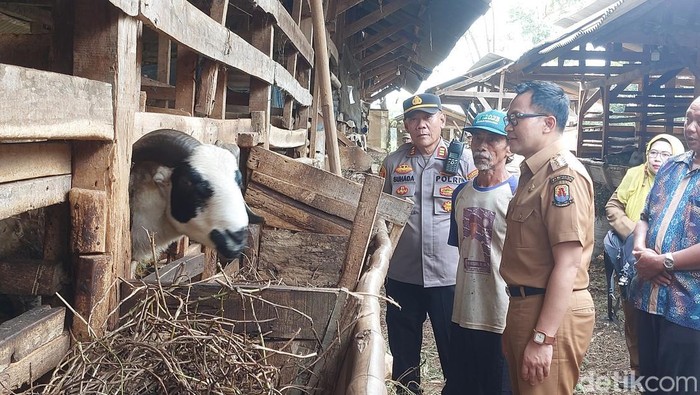 Pj Bupati Cirebon Wahyu Mijaya saat meninjau kelompok tani ternak blok Padusan Kabupaten Cirebon