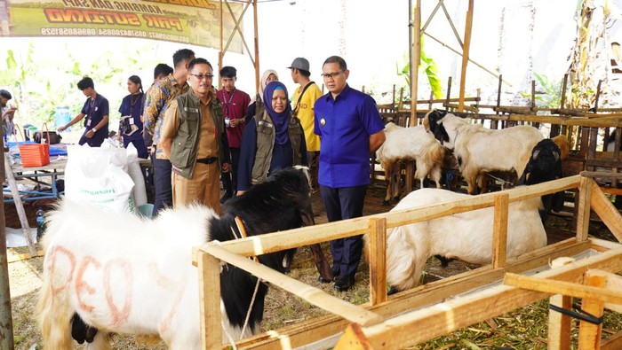 Pj Wali Kota Batu Aries Agung Paewai sidak hewan kurban