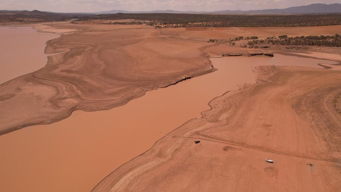 A drone view shows cows in an area affected by high temperatures that have caused an intense drought, in Basuchil, Chihuahua state, Mexico, June 8, 2024. REUTERS/Jose Luis Gonzalez