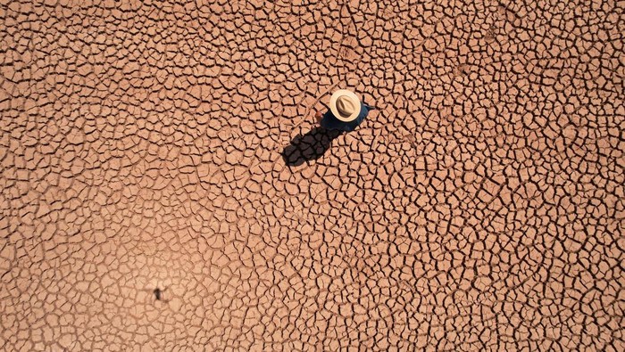 Potret Kekeringan Parah di Meksiko, Mengancam Pertanian dan Peternakan A drone view shows cows in an area affected by high temperatures that have caused an intense drought, in Basuchil, Chihuahua state, Mexico, June 8, 2024. REUTERS/Jose Luis Gonzalez