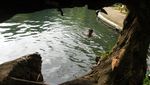 Potret Kolam Mata Air di Tengah Hutan Bambu Kawasan Malang