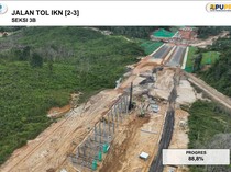 Wakil Bos Otorita Pamer Ada 45 Investor Siap Groundbreaking di IKN