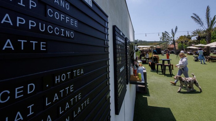 Santai Sejenak Bersama Anabul di Klub Khusus Anjing di Pantai California A general view of DOG PPL, a private members' club for dogs in the Californian beach enclave of Santa Monica, California, U.S., May 30, 2024. REUTERS/Mike Blake