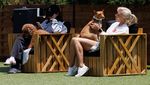 Santai Sejenak Bersama Anabul di Klub Khusus Anjing di Pantai California