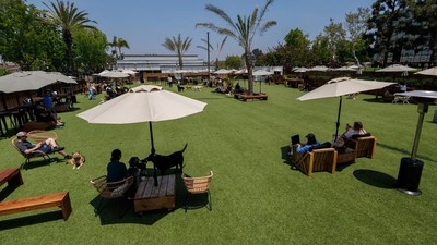 Santai Sejenak Bersama Anabul di Klub Khusus Anjing di Pantai California