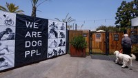 Seorang pelanggan dan anjingnya memasuki DOG PPL, klub anggota swasta untuk anjing di kawasan pantai California di Santa Monica, California, AS.