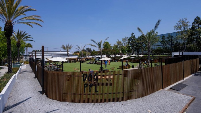 Santai Sejenak Bersama Anabul di Klub Khusus Anjing di Pantai California A general view of DOG PPL, a private members' club for dogs in the Californian beach enclave of Santa Monica, California, U.S., May 30, 2024. REUTERS/Mike Blake