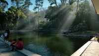 Balong Dalem adalah kawasan hutan lindung yang sangat asri dan teduh. Wisata alam ini berada di tanah seluas 6,5 hektar yang dipenuhi 3000 pohon berusia tua dan 400 primata monyet. Foto: dok. Instagram/balongdalem.official