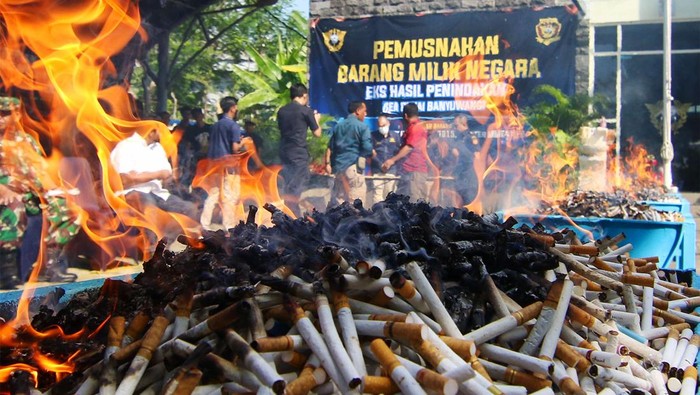 Sejumlah pejabat dari instansi terkait memusnahkan rokok ilegal di Kantor Bea Cukai Banyuwangi, Jawa Timur, Rabu (12/6/2024). Bea Cukai Banyuwangi musnahkan 45.920 batang rokok dan 5.015 liter minuman keras tanpa dilengkapi pita cukai hasil penindakan tahun 2023 dan sebagian tahun 2024 senilai Rp237 juta sebagai upaya menekan peredaran barang kena cukai ilegal yang merugikan negara dan masyarakat . ANTARA FOTO/Budi Candra Setya/YU