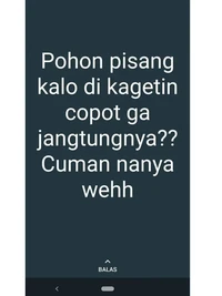 Kelakuan kocak bapak-bapak di internet ini bikin senyum-senyum yang melihatnya. Ah bapak, ada-ada aja.