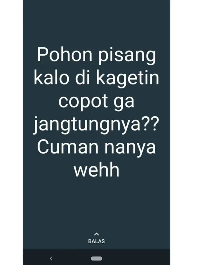 Kelakuan kocak bapak-bapak di internet ini bikin senyum-senyum yang melihatnya. Ah bapak, ada-ada aja.