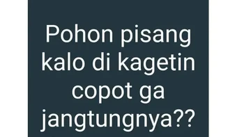 Hmm... Foto: X/saranghaeshopi