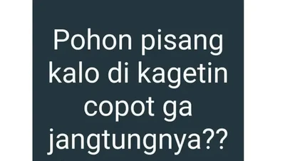 Begini Jadinya Kalau Bapak-bapak Main Internet, Kocak Abis!