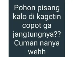 Begini Jadinya Kalau Bapak-bapak Main Internet, Kocak Abis!