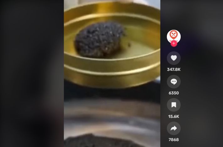 Bikin Mual! Begini Proses Pengambilan Kaviar dari Dalam Perut Ikan