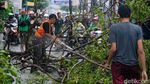 Diterpa Hujan Deras, Pohon Tumbang di Pondok Cabe