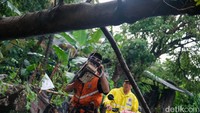Pohon tumbang di Jalan Raya Pondok Cabe arah Cirendeu, Tangsel, Rabu (12/6/2024) pukul 15.30 WIB.  