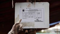 Pada pemeriksaan di Koja ini, sebanyak 100 ekor sapi dinyatakan sehat oleh Dinas KPKP DKI Jakarta.
