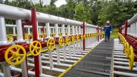 Pekerja Pertamina EP Papua Field memeriksa fasilitas manifold di area Lapangan Produksi Migas Klamono di Distrik Klamono, Kabupaten Sorong, Provinsi Papua Barat Daya, Selasa (11/6/2024).
