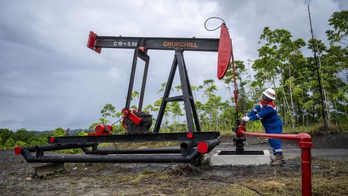 Pekerja Pertamina EP Papua Field memeriksa fasilitas manifold di area Lapangan Produksi Migas Klamono di Distrik Klamono, Kabupaten Sorong, Provinsi Papua Barat Daya, Selasa (11/6/2024). Pertamina EP Papua Field, yang merupakan lapangan produksi migas pertama di Kabupaten Sorong Papua Barat Daya sejak 1932, mencatat angka produksi sebesar 772 barel minyak per hari (BOPD) per 10 Juni 2024. ANTARA FOTO/ Erlangga Bregas Prakoso/aww/YU